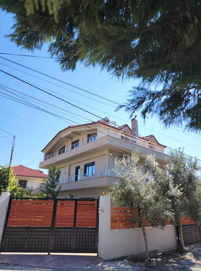 The Olive View Apartment By Ceni, Elbasan Esterno foto